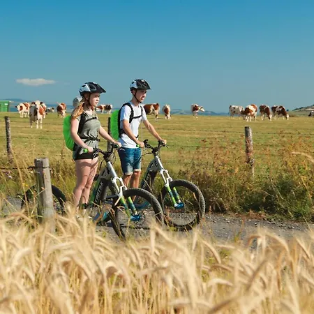 Guest house D'hotes De L'auberge L'astrassadou